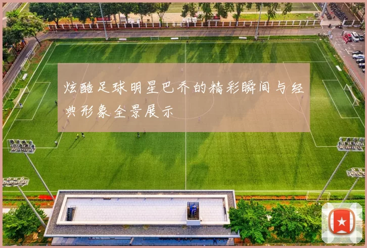 炫酷足球明星巴乔的精彩瞬间与经典形象全景展示