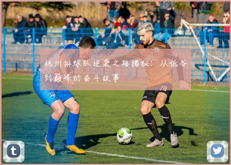 杭州排球队逆袭之路揭秘：从低谷到巅峰的奋斗故事