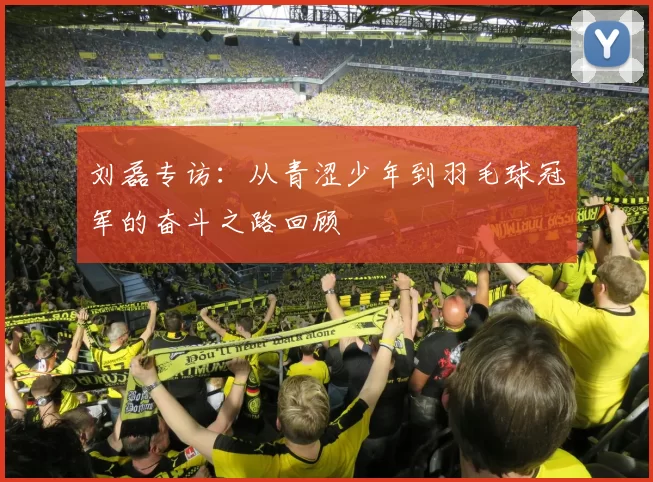 刘磊专访：从青涩少年到羽毛球冠军的奋斗之路回顾