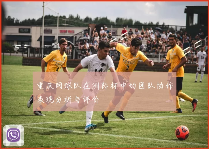 重庆网球队在洲际杯中的团队协作表现分析与评价