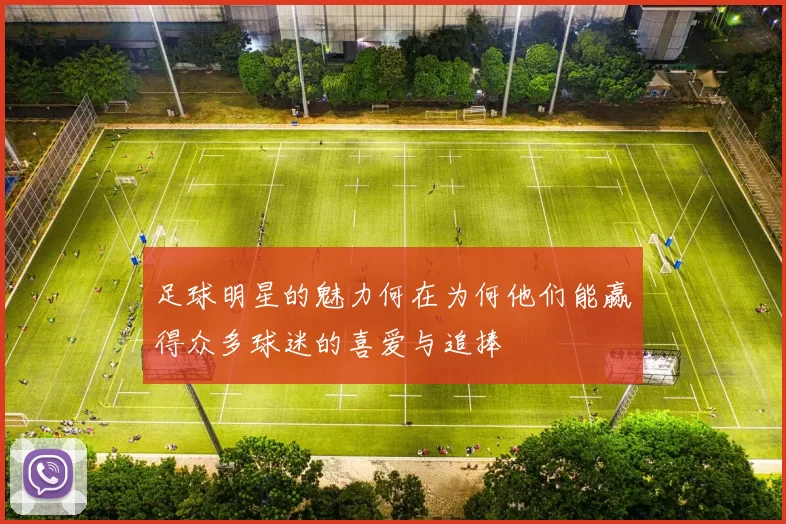 足球明星的魅力何在为何他们能赢得众多球迷的喜爱与追捧