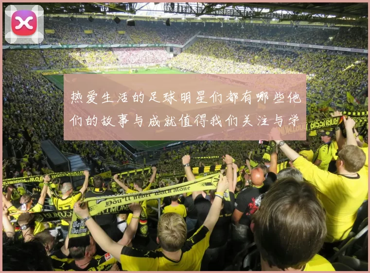 热爱生活的足球明星们都有哪些他们的故事与成就值得我们关注与学习