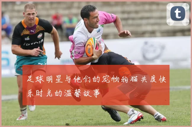 足球明星与他们的宠物狗猫共度快乐时光的温馨故事