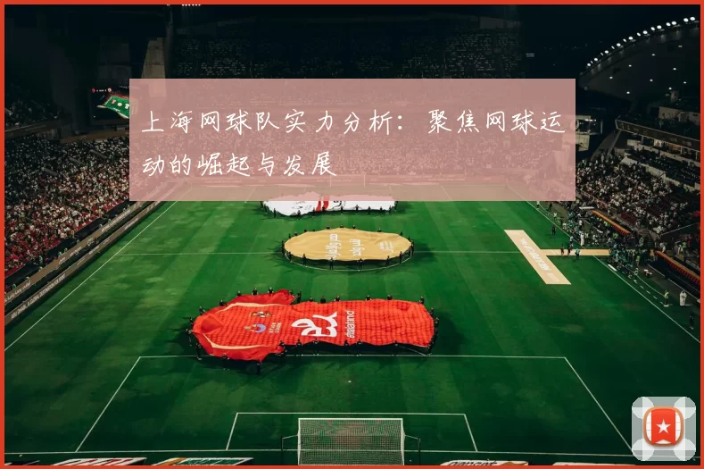上海网球队实力分析：聚焦网球运动的崛起与发展