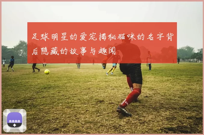 足球明星的爱宠揭秘猫咪的名字背后隐藏的故事与趣闻