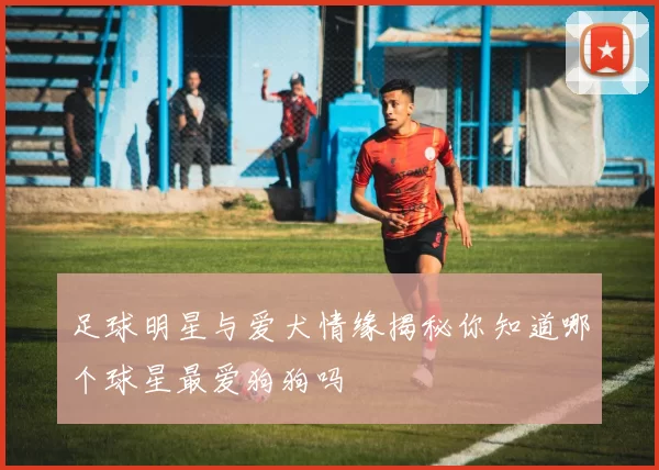 足球明星与爱犬情缘揭秘你知道哪个球星最爱狗狗吗