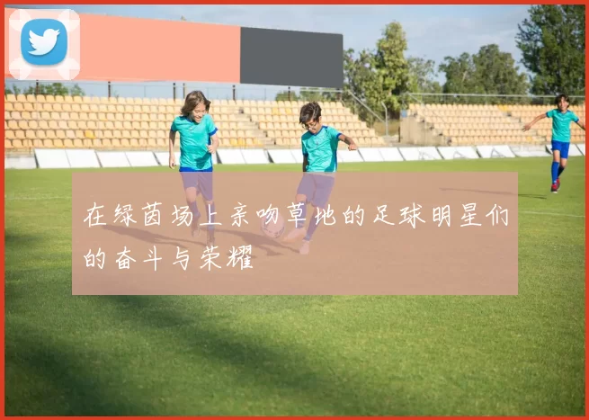 在绿茵场上亲吻草地的足球明星们的奋斗与荣耀