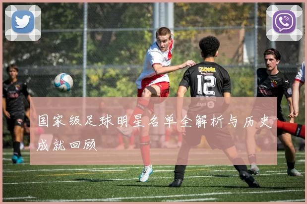 国家级足球明星名单全解析与历史成就回顾