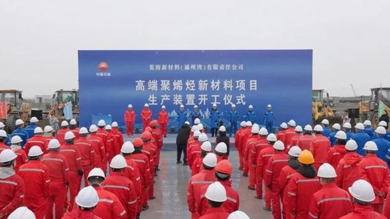 上海家装新材料公司排名